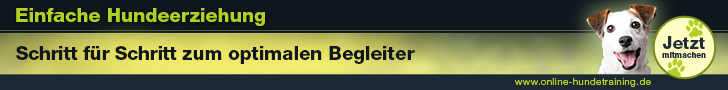 Banner Hunde Online Training