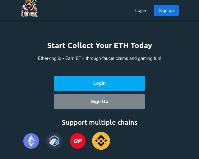 Screenshot der Webseite Etherking Etherking